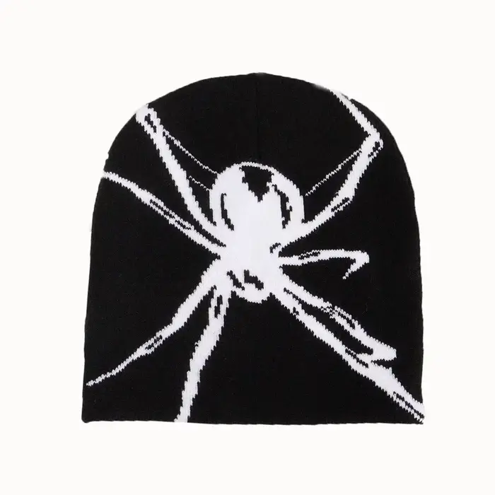 Chapeau tricoté en toile d'araignée pour hommes et femmes, 1 pièce, pull, casquette à poils, Y2k Got