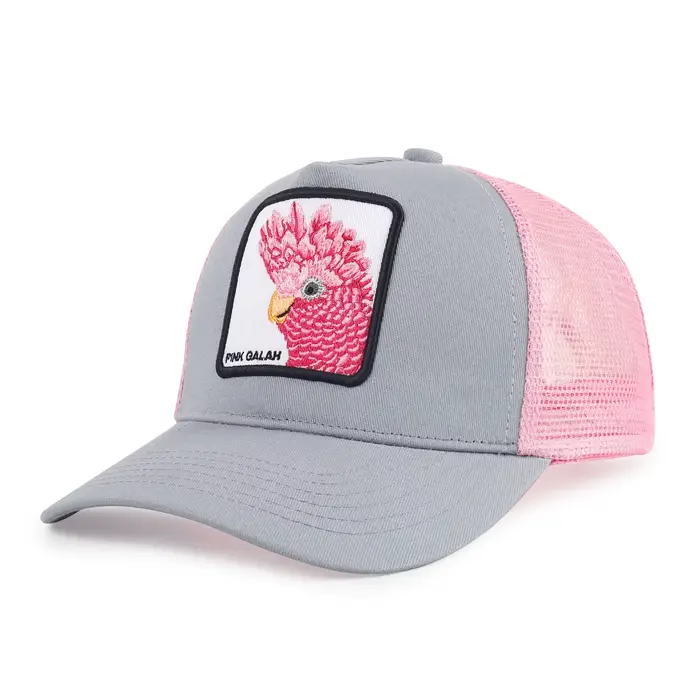 Casquette de Baseball brodée d'animaux transfrontaliers, unisexe, chapeau à large bord, Protection s