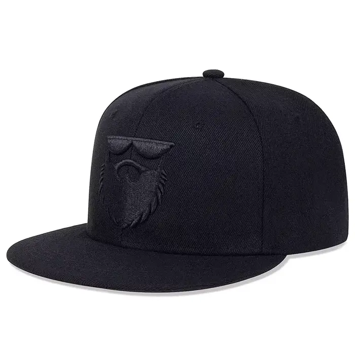 Casquettes de baseball unisexe brodées pour hommes âgés, style hip-hop, printemps-automne, ajustable
