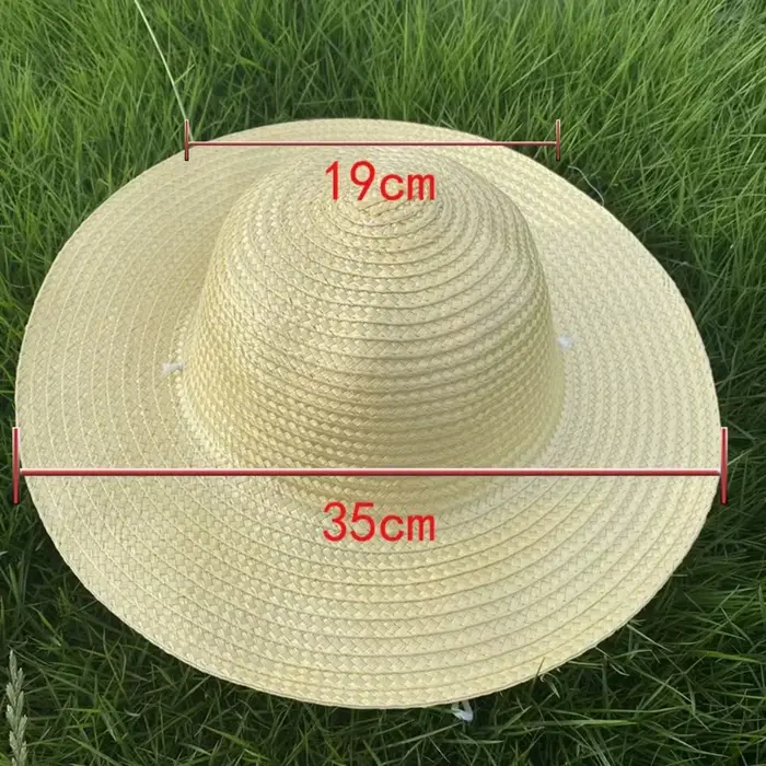 Chapeaux de paille simples d'été pour femmes et hommes, chapeau de soleil de plage à large bord, Pro